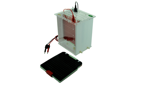 FSF-Zy System Tranck System